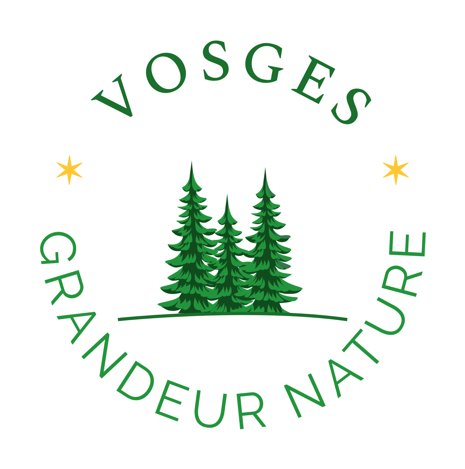 Logo de VGN Cockpit